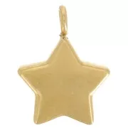 Breloque étoile 11x8.5 mm avec oxydes de zirconium - Acier inox 304L Doré x1