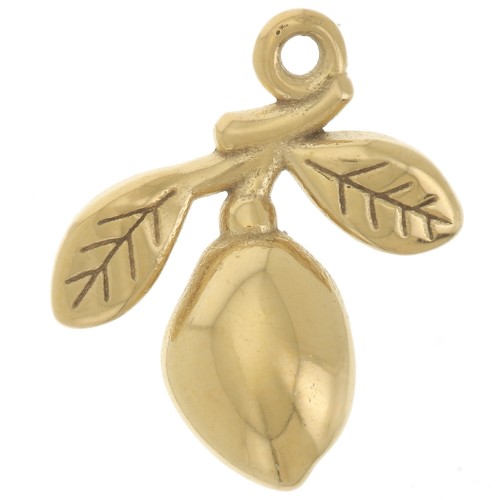 Breloque olive et branche 14x12 mm - Acier inoxydable 304L Doré x1