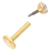 Piercing d'oreille rond 3 mm oxyde de zirconium - Acier inoxydable 316 Doré x1