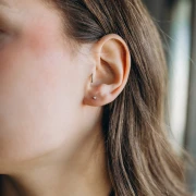 Boucles d'oreilles ronds 2.5 mm avec oxyde de zirconium - Acier inox 304L Doré x2