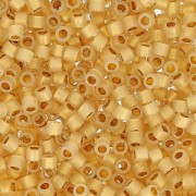 Miyuki Delica Duracoat 11/0 DB2171 - Alabaster Silver Line Dyed Straw x8g|raw }}