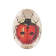 Cabochon ovale décoré 18x13 mm Coccinelle x1|raw }}