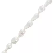 Perles d'eau douce baroques irrégulières 19x14 mm - Grade AA - Blanc x1