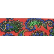 Biais en polyester 20 mm - motif Cachemire - Orange foncé - Vert foncé x1m