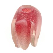 Perle fleur Tulipe 10x5.5 mm en plastique - Rouge foncé x1