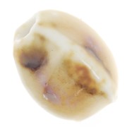 Perles ovales en céramique 13x9  mm - Beige - Ecru marbré x10