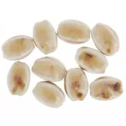 Perles ovales en céramique 13x9  mm - Beige - Ecru marbré x10