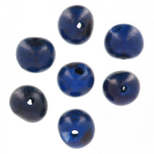 Graines açaï du Brésil 8 mm Bleu Nuit x 10