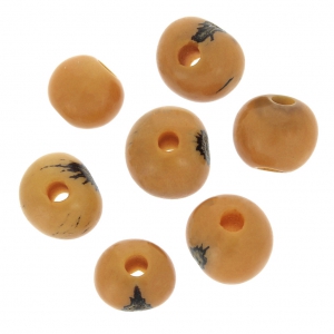 Graines açaï du Brésil 8 mm Safran x 10