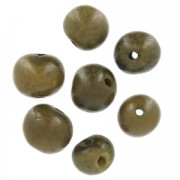 Graines açaï du Brésil 8 mm Khaki x 10
