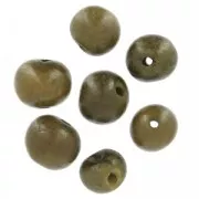 Graines açaï du Brésil 8 mm Khaki x 10