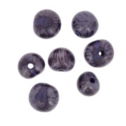 Graines açaï du Brésil 8 mm - Violet x 10