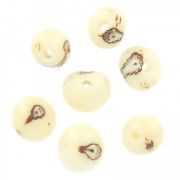 Graines açaï du Brésil 8 mm Naturel x 10