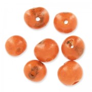 Graines açaï du Brésil 8 mm Orange x 10|raw }}