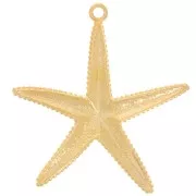 Pendentif étoile de mer texturé 61x57 mm - Doré à l'or fin x1