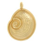 Pendentif coquillage 23x17 mm - Doré à l'or fin x1