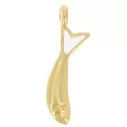 Breloque poisson 20x5 mm avec résine époxy - Doré à l'or fin - Blanc x1
