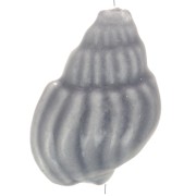 Perle coquillage 21x13 mm en céramique - Gris foncé x1