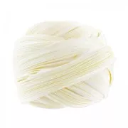 Ruban twill de soie Shibori Ivory x10cm