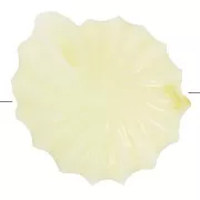 Perles coquillage 12 mm en plastique - Ecru x8