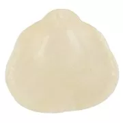 Pendentif coquillage en résine 34x36 mm - Crème marbré x1