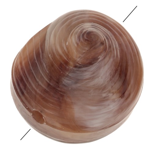 Perle coquillage en résine 12 mm - Marbré Marron clair - Marron foncé x5