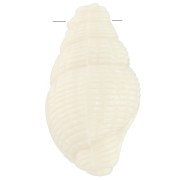 Pendentif coquillage 20.5x13 mm en résine opaque - Ecru x1|raw }}