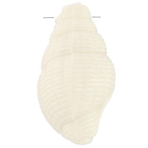 Pendentif coquillage 20.5x13 mm en résine opaque - Ecru x1