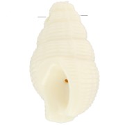 Pendentif coquillage 20.5x13 mm en résine opaque - Ecru x1