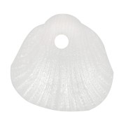 Sequins coquillages 10x10.5 mm en résine opaque - Blanc nacré x6|raw }}
