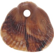 Sequins coquillages 17x18 mm résine opaque - Marbré Marron clair - Marron foncé x4|raw }}