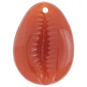Pendentif cauri en résine 22x16 mm - Brun rouge x1