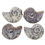 Perle coquillage 40x31 mm en céramique - Marron foncé - Marbré bleu et beige x1