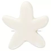 Perles étoile de mer 17 mm en céramique - Blanc irisé x5