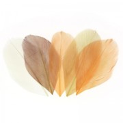 Assortiment de plumes 6 cm Camaïeu Beige x10gr
