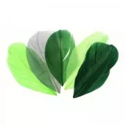 Assortiment de plumes 6 cm Camaïeu Vert x10gr