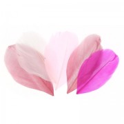 Assortiment de plumes 6 cm Camaïeu Rose x10gr|raw }}