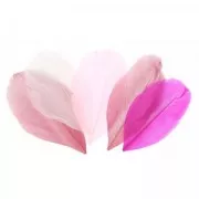 Assortiment de plumes 6 cm Camaïeu Rose x10gr