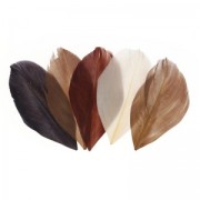 Assortiment de plumes 6 cm Camaïeu Chocolat x10gr|raw }}