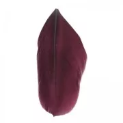 Plumes 6 cm Bordeaux x3gr