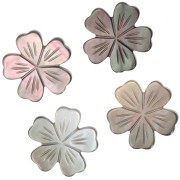 Perle fleur de cerisier 12 mm en nacre - Gris irisé x1