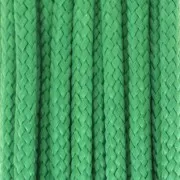 Fil de jade - Fil nylon tressé européen Griffin 2 mm - Green x20m