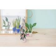 Kit de modelage Cernit - Mini plantes x1