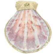 Pendentif coquillage 37 - 40 mm avec bordures dorées - Naturel x1|raw }}