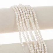 Perles d'eau douce grain de riz 5x4.5 mm - Grade AA - Blanc x36 cm