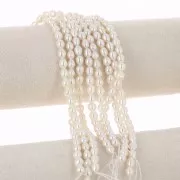 Perles d'eau douce grain de riz 7x6 mm - Grade AA - Blanc x35cm