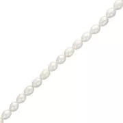Perles d'eau douce grain de riz 9x7 mm - Grade AA - Blanc x6