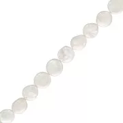 Perles d'eau douce irrégulières - palet rond 12 mm - Grade AA+ - Blanc x41cm