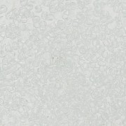 Preciosa Perles rocailles 15/0 - 1.5 mm Crystal x10g