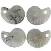 Pendentif coquillage spirale 20x16 mm en pierre gemme - Labradorite x1